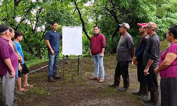 Diplomado Tecnoagro-Rubro Plátano: «Semilla de Calidad en Plátano»