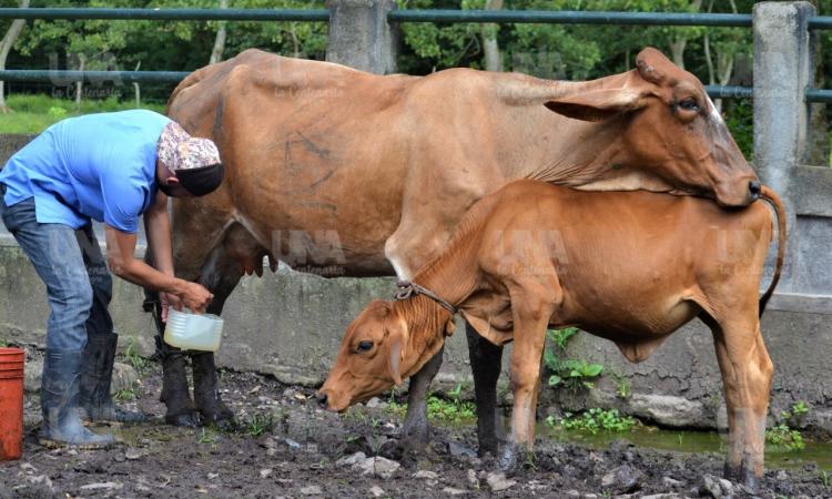 Certificación Nacional de Finca Segregada para Centro de Práctica de UNA Camoapa