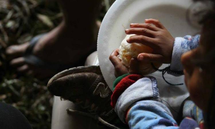 Solo un 4% de la población hondureña cumple con los requisitos mínimos de alimentación dice estudio de la Carrera de Nutrición  