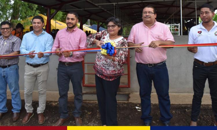 UNAN-León establece Centro de Mejoramiento Genético y Producción Porcina de referencia Nacional
