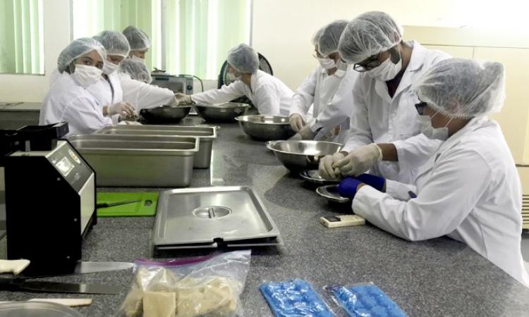 UNAN-Managua e INTA obtienen financiamiento para generar productos innovadores de cacao