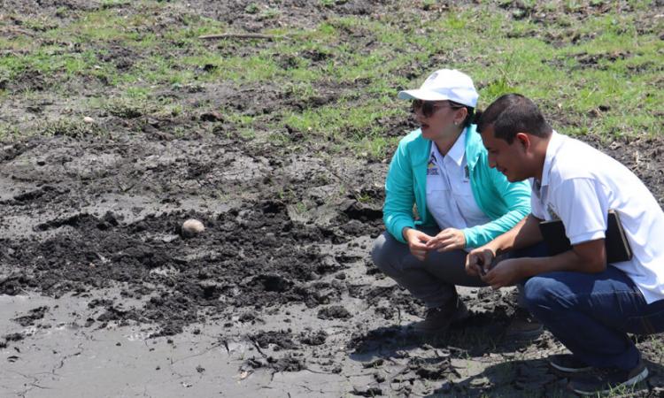 Investigadora de UNAN-Managua gana premio en Acción Climática y Ambiente OWSD y Fundación Elsevier