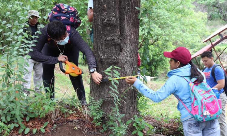 Inician labores para la creación de un arboreto en el Recinto Universitario Rubén Darío