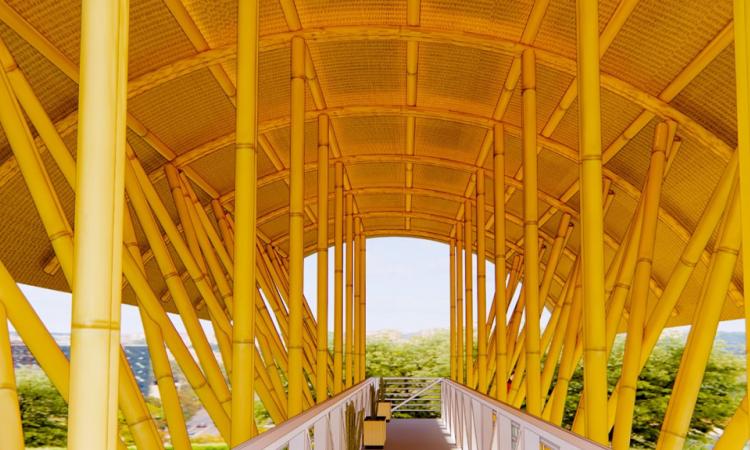 Futuros arquitectos refuerzan conocimiento sobre aprovechamiento del bambú