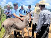 UNAG impulsa el diplomado sobre ganadería sostenible