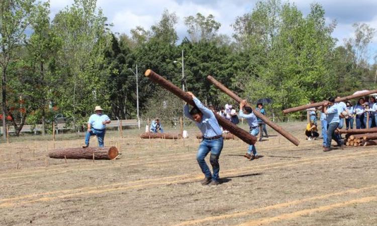 Cada 30 de mayo UNACIFOR celebra día del Ingeniero Forestal