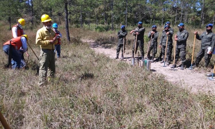 Brigadas Forestales trabajan arduamente en el combate de incendios forestales