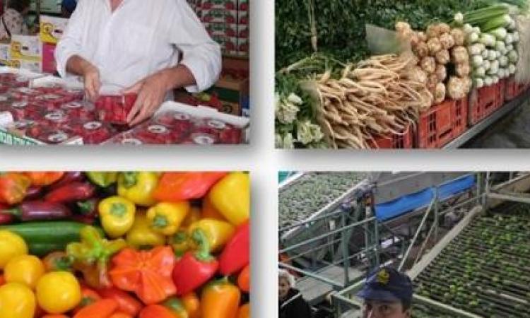 Webinar Internacional: Mercadeo De Productos Agricolas Frescos
