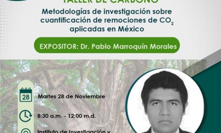 Taller de carbono: metodologías de trabajo aplicadas para la cuantificación de remociones de CO2 en México c