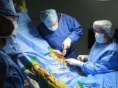  Aplican procedimiento para regenerar tejidos en equinos