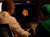 Un corazón 3D une la ciencia y la academia