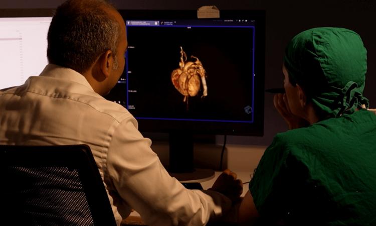 Un corazón 3D une la ciencia y la academia