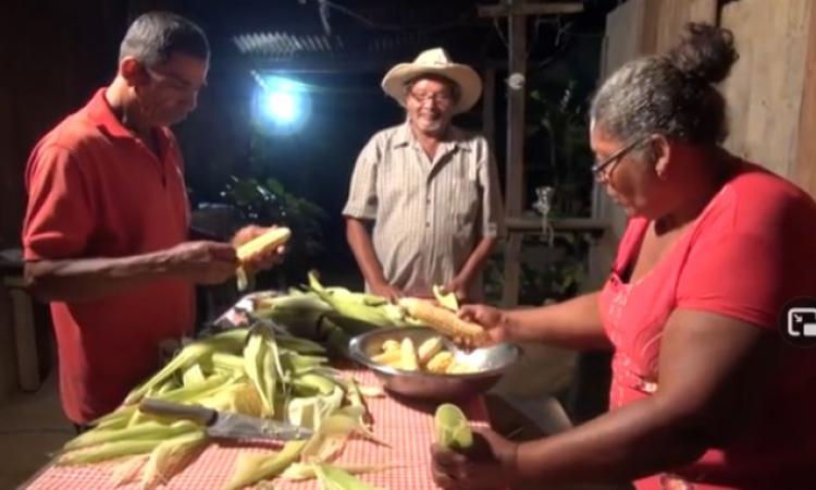 Resguardan semillas de maíz criollo para futuras generaciones