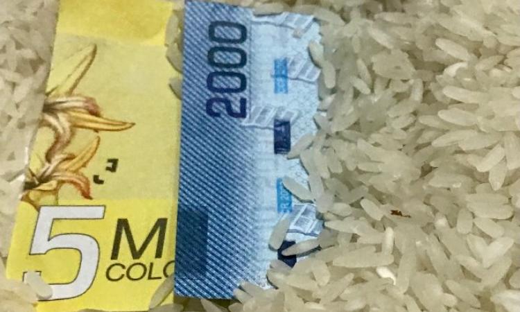 Decretos del arroz destruirán modelo regulatorio