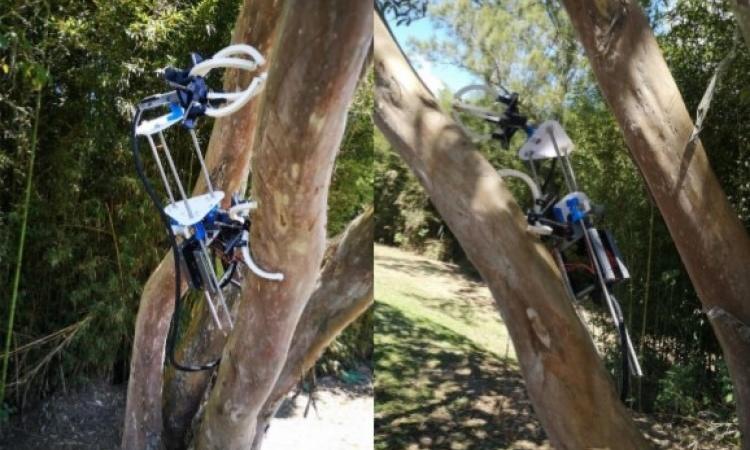 Estudiante del TEC diseña y crea prototipo de robot trepador de árboles