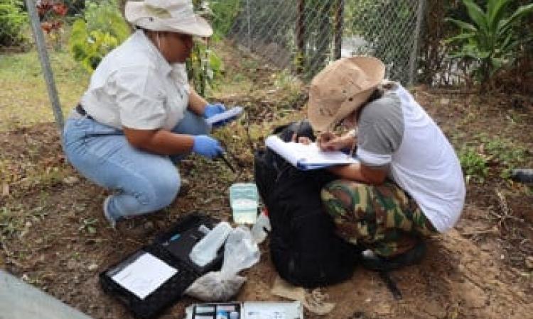 Futura ingeniera de la UTP estudia la calidad del agua para consumo humano en Caballero, Pajonal y San Juan de Dios